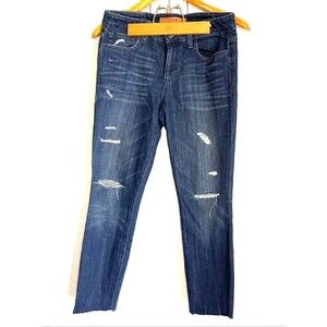 Joe's Jeans the skinny distressed